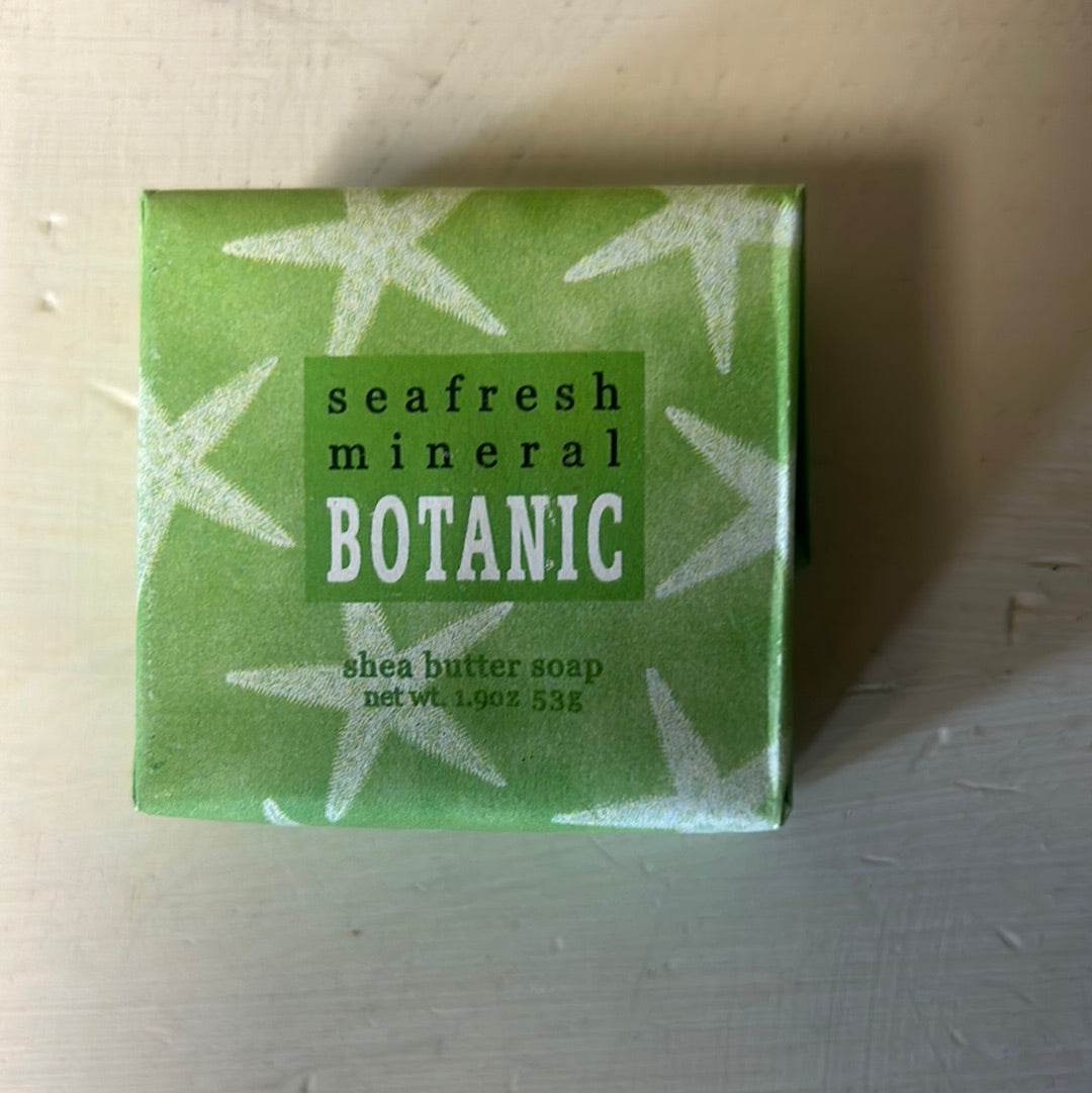 Mini Soaps