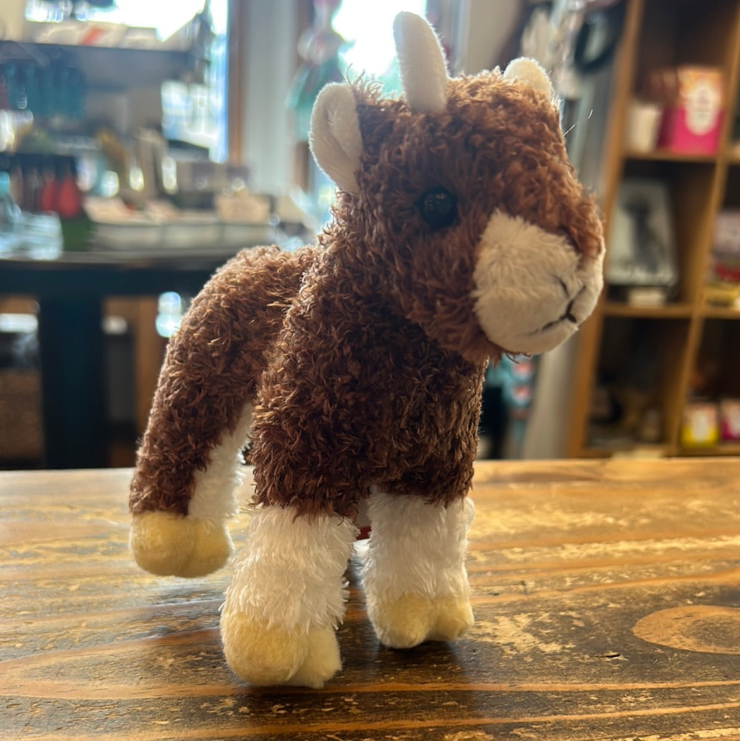 Douglas Buffy Baby Goat