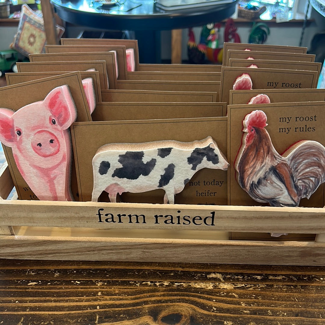 Farm Animal Sponges