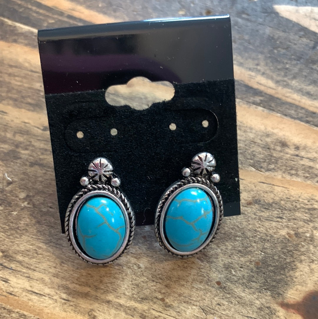 Turquoise Stud ER