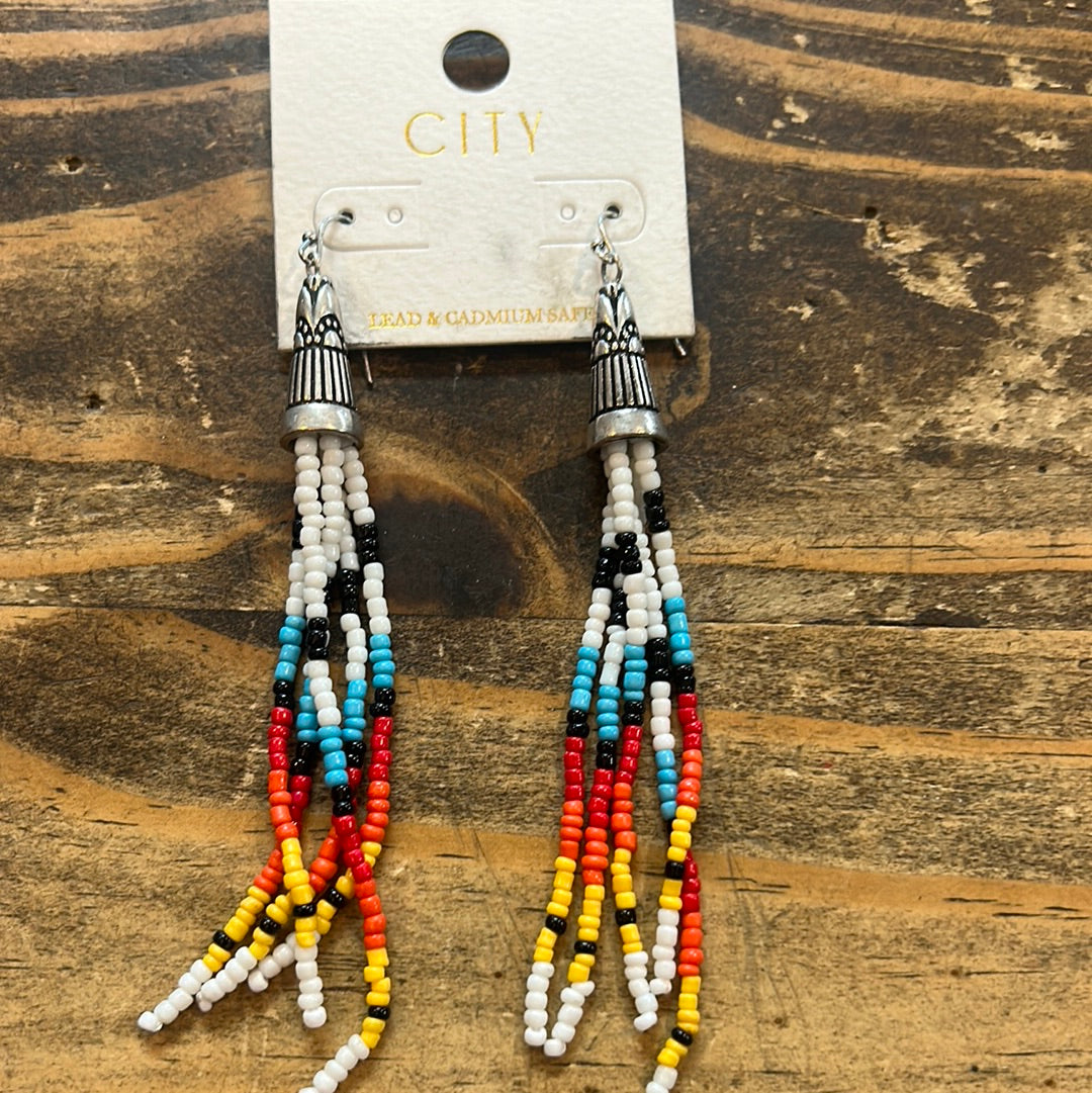 Large Beaded Earrings