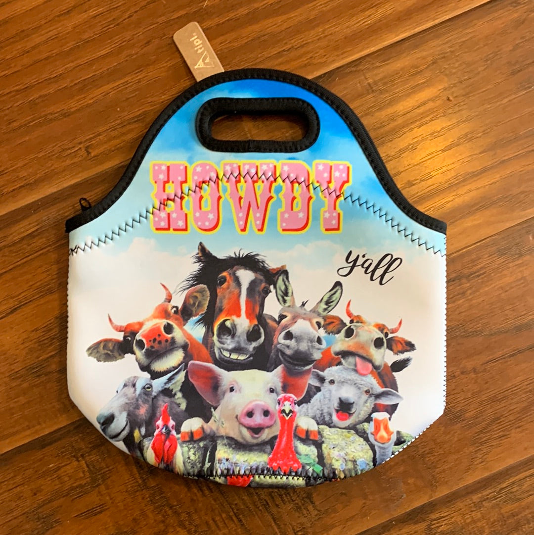 Insulated Lunch Bag