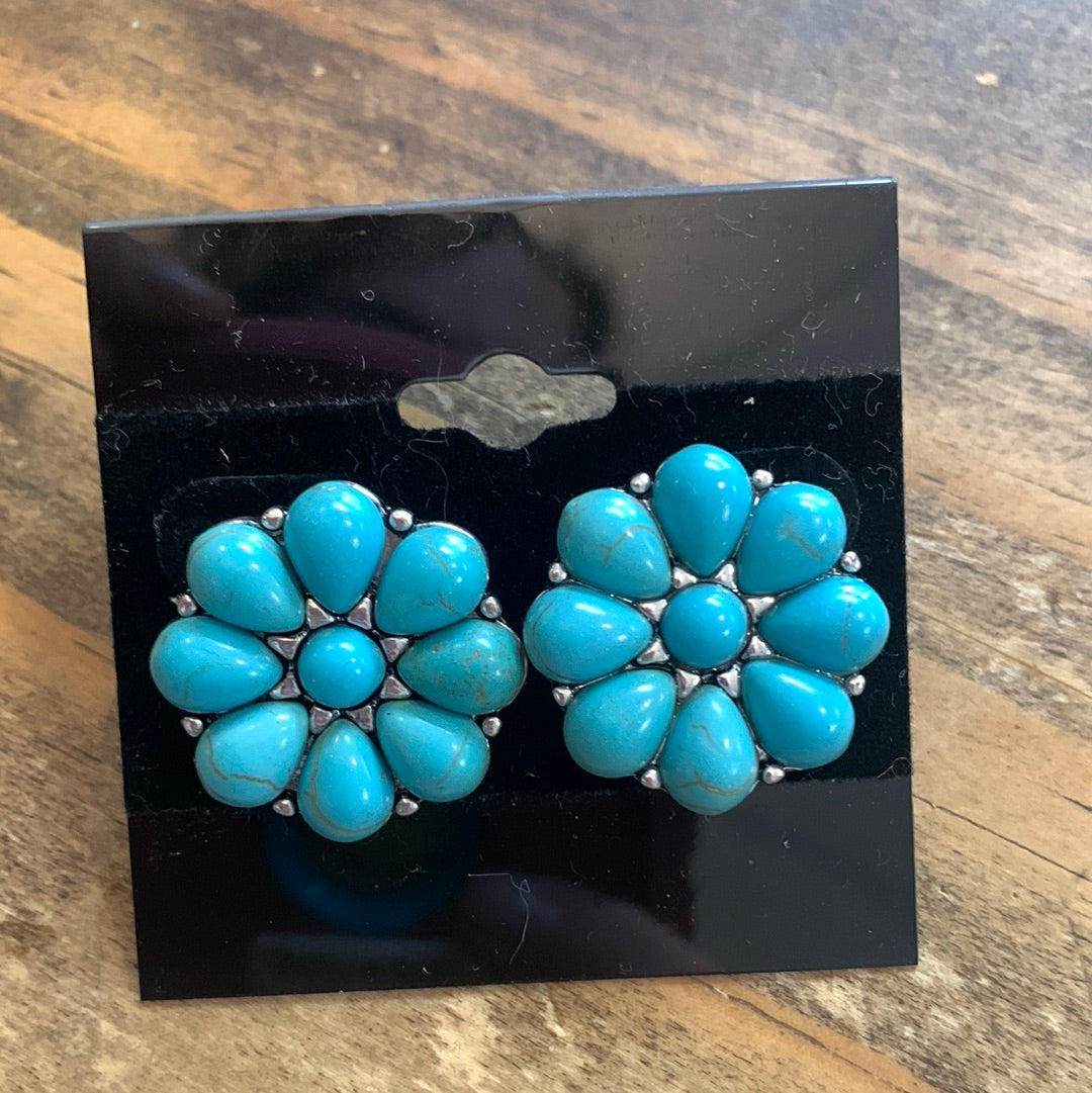 Turquoise Stud ER