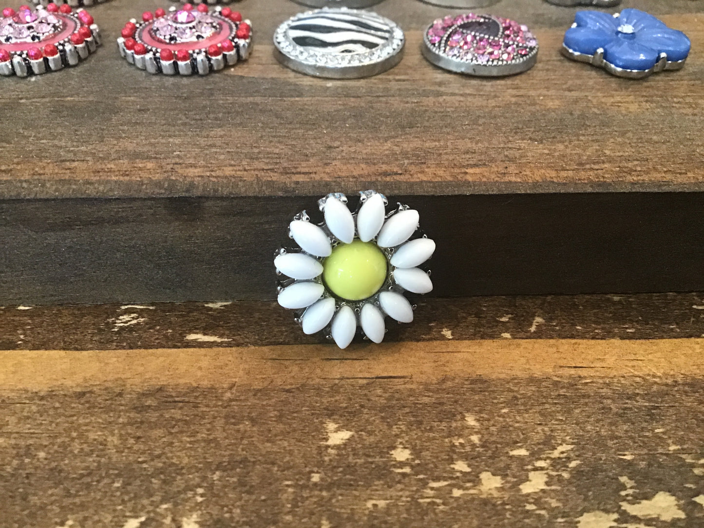Assorted Pearl Snaps