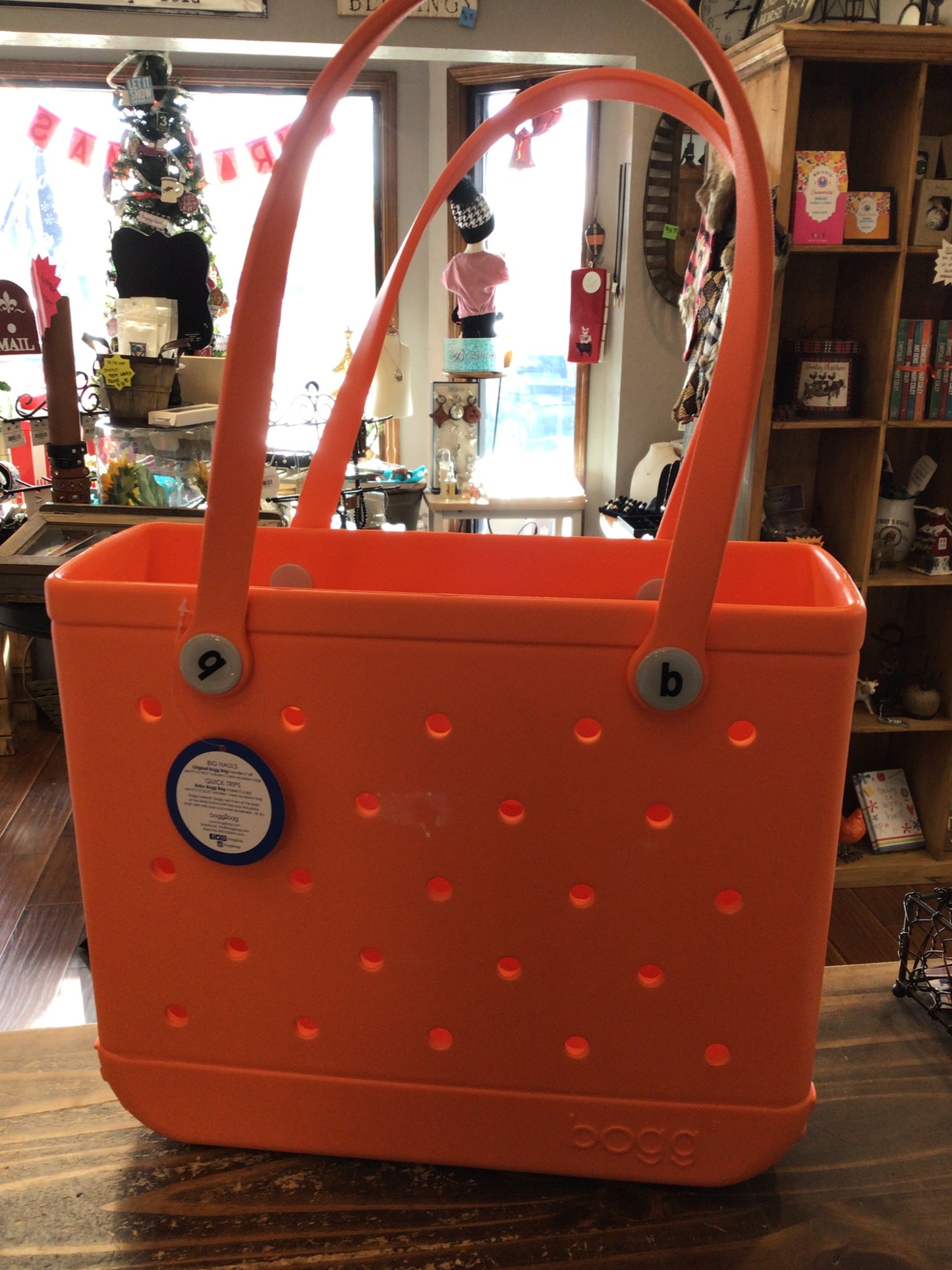 Baby Bogg Bag