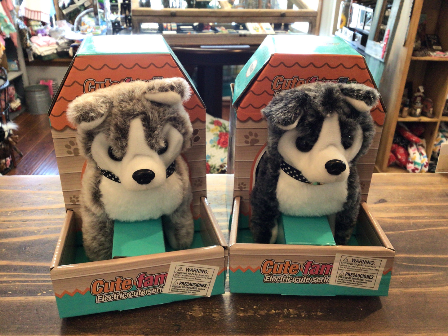 Husky Dog In Box