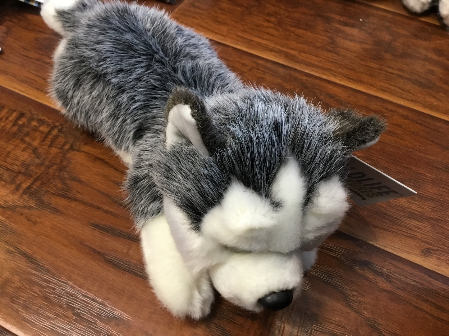 Children’s Stuffed Animals