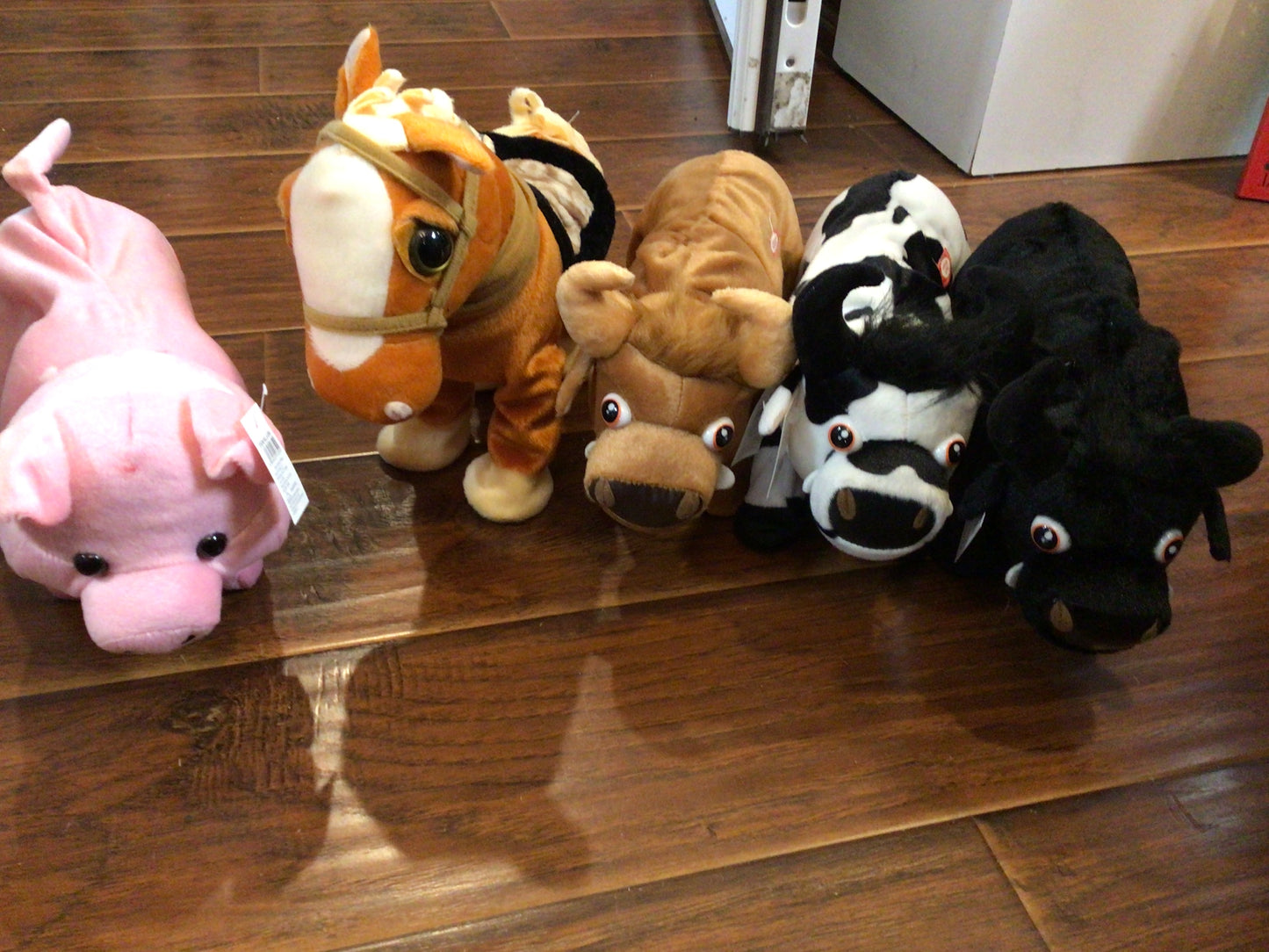 Walking Animals