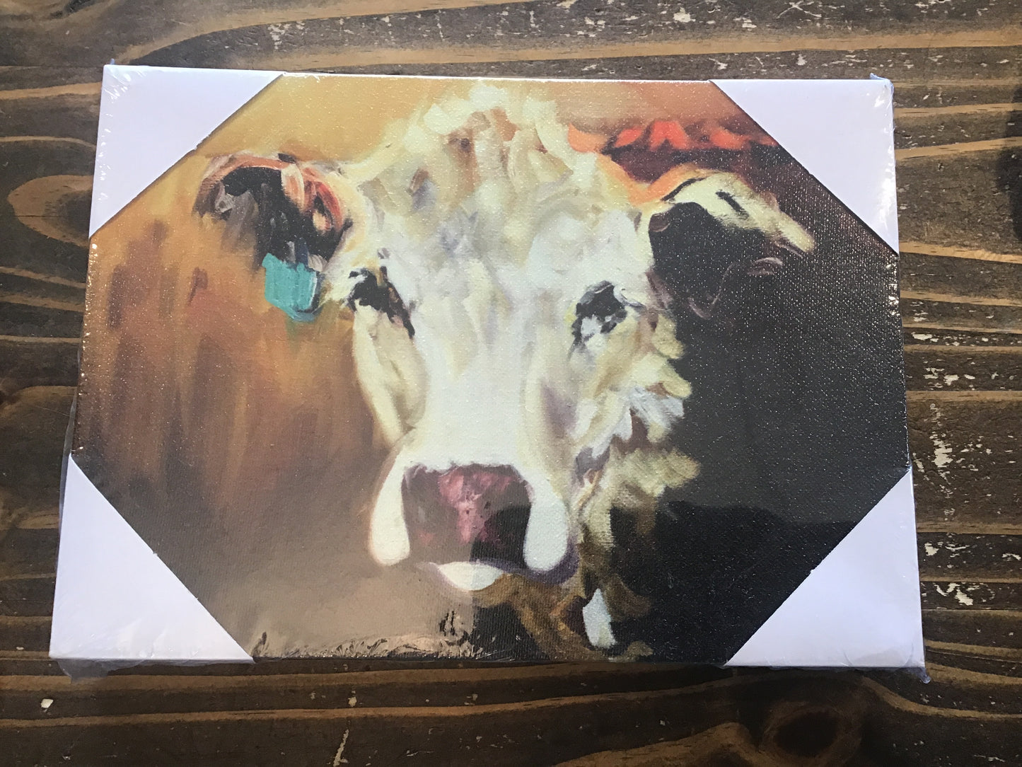 10”x7” Cow Canvas