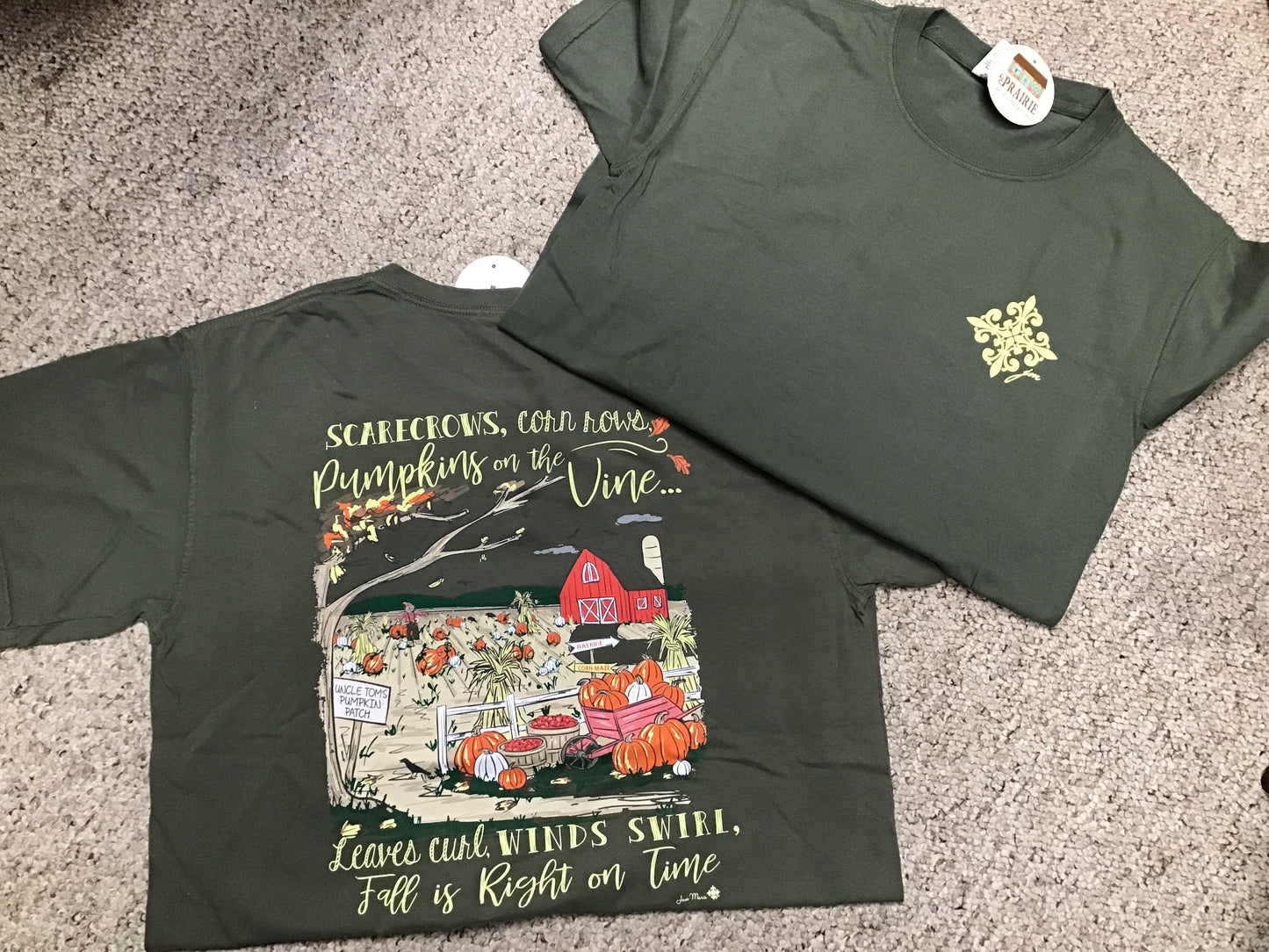 Pumpkin Patch Sage T-Shirt