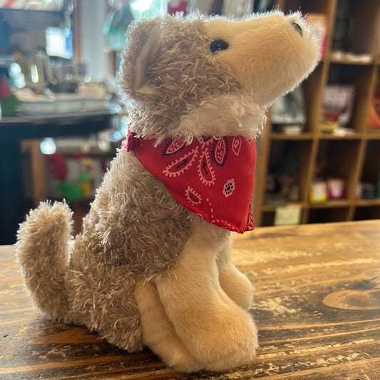 Douglas Trickster Coyote w/ Red Bandana