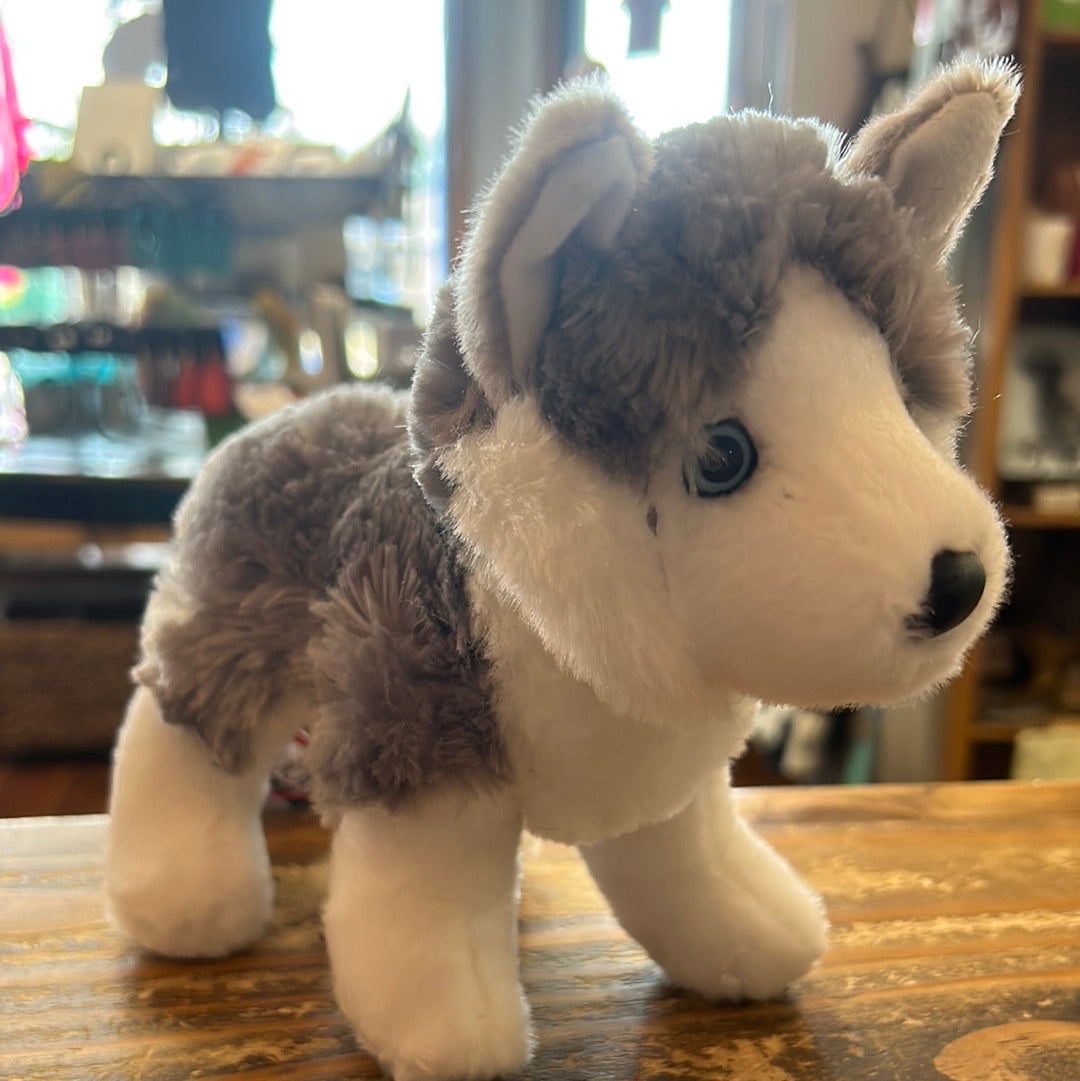 Douglas Nikita Husky