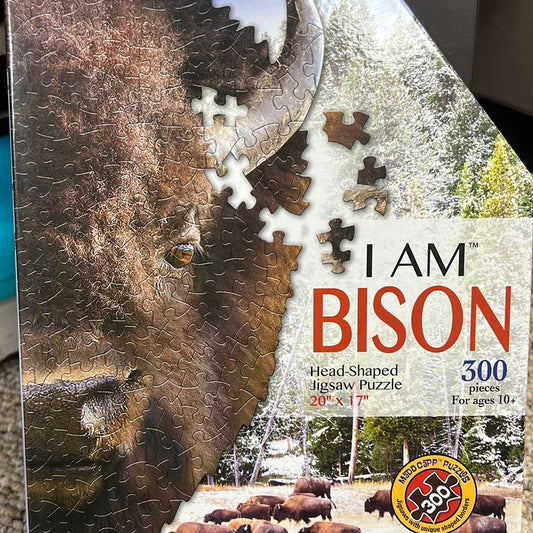 300 Piece I Am-Shaped Puzzles