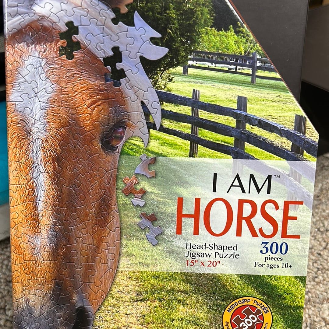 300 Piece I Am-Shaped Puzzles