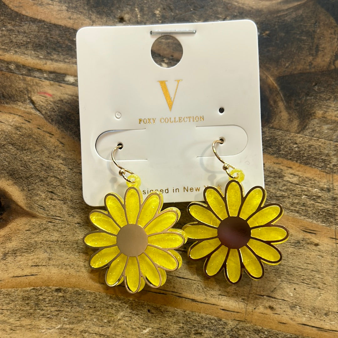 Assorted Acrylic Dangle ER