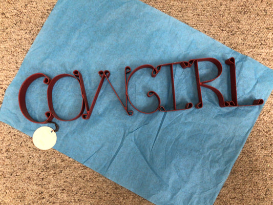 Cowgirl Metal Sign