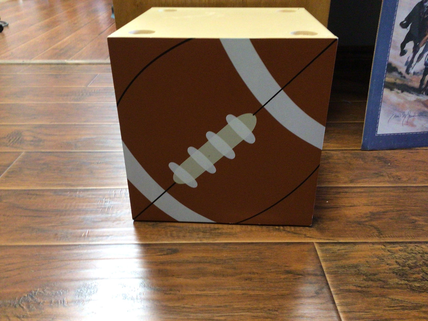 Football storage cube