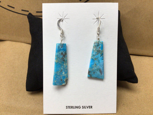 SS Turquoise Dangle ER