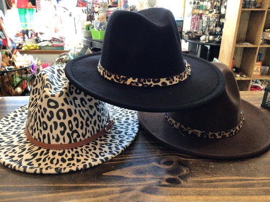 Assorted Women’s Fedora