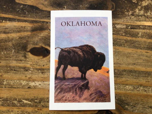 Oklahoma Bison Postcard