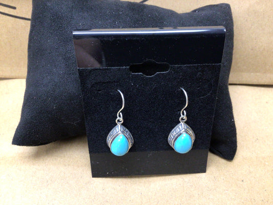 SS Turquoise Oval Stone Dangle ER