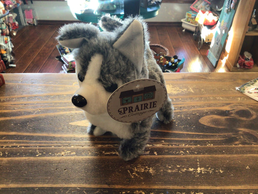 Walking/Talking Husky Dog