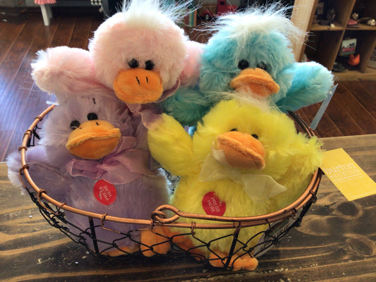 6” Just Ducky Quackin’