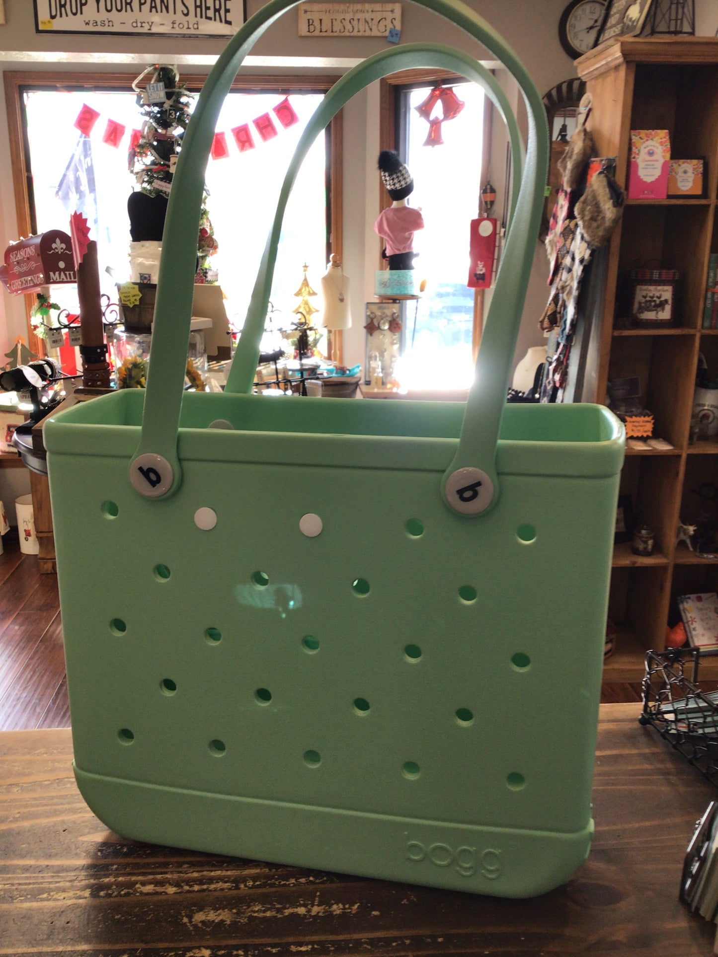 Baby Bogg Bag