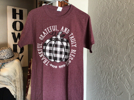 Thankful Grateful and Truly Blessed t shirt