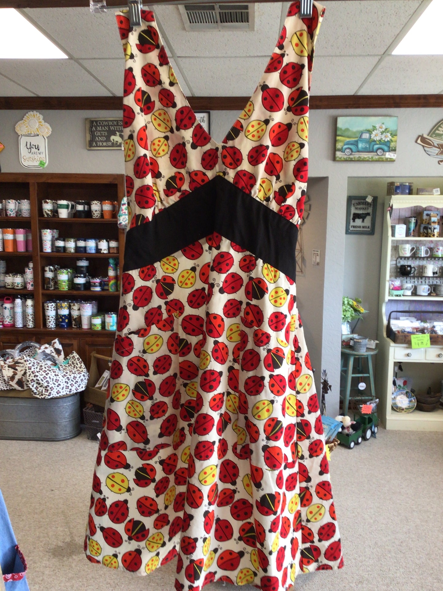 Adult Assorted Aprons